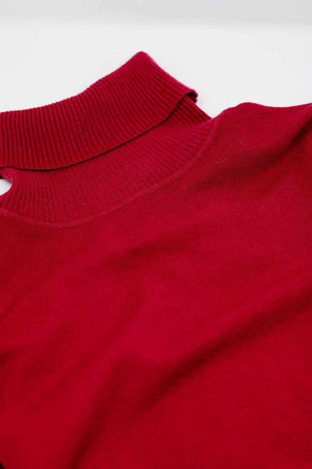 Fine knit high neck jumper in wine color Q2 Sweaters BoutiqueLua