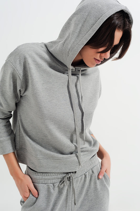 Basic hoodie in grey - Sweaters