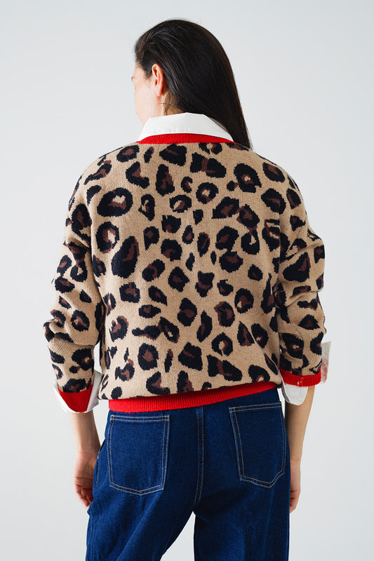 Leopard sweater with red detail on the neck and sleeves - Sweaters