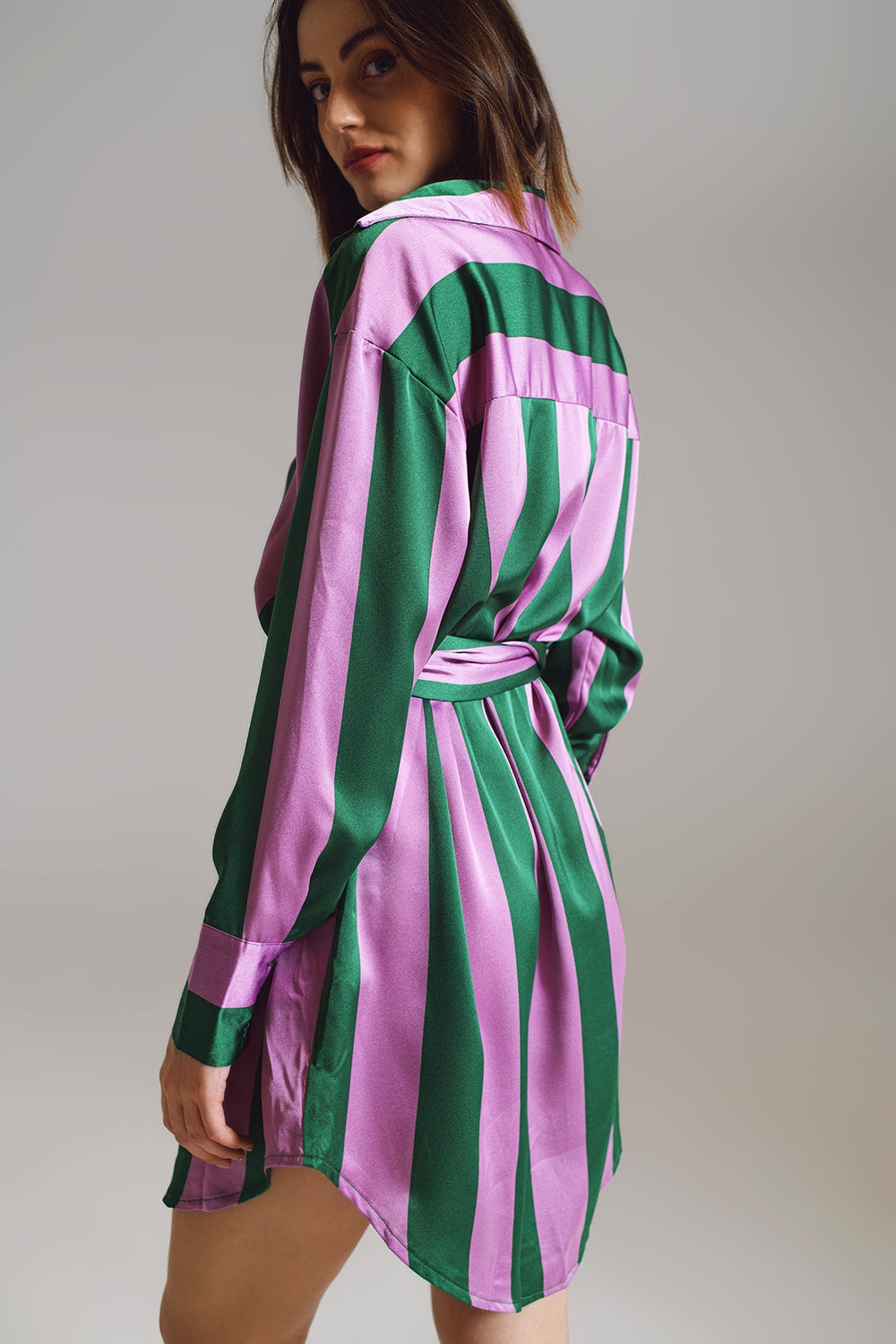 Short Shirt Dress in Lilac and Green Stripe Q2 Dresses BoutiqueLua